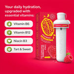 Squeeze® Raspberry Lemonade - US 9331